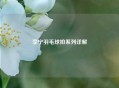 李宁羽毛球拍系列详解