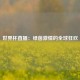 世界杯直播：绿茵激情的全球狂欢