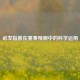 必发指数在赛事预测中的科学运用