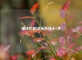 懂球的都说梅西强于C罗