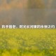 执手偕老，时光长河里的永恒之约