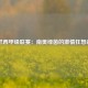 巴西甲级联赛：南美绿茵的激情狂想曲