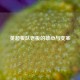 英超狼队老板的雄心与变革