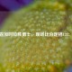 雷霆加时险胜勇士，现场比分定格128：125