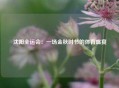 沈阳全运会：一场金秋时节的体育盛宴