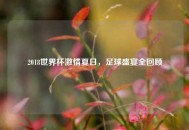 2018世界杯激情夏日，足球盛宴全回顾