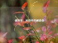  盛姝雯：泳池中的破浪者