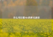 什么可以看NBA的多元途径