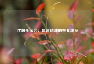  沈阳全运会：体育精神的东北华章