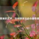 真诚赞美的艺术，如何得体又走心地夸赞他人