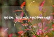 桑巴荣耀，巴西足球的世界杯传奇与未来挑战