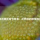 五星劲爆体育节目表：点燃你的激情观赛周