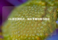 CBA排名榜风云，强队争霸与黑马崛起