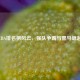 CBA排名榜风云，强队争霸与黑马崛起