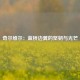 奇尔维尔：蓝桥边翼的坚韧与光芒