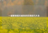 一键更换照片底色的实用技巧大全