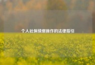 个人社保续缴操作的法律指引
