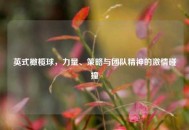 英式橄榄球，力量、策略与团队精神的激情碰撞