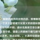 （注，根据您提供的示例内容，我理解您需要的是一个关于空格键文化意义的创意标题。若实际内容方向不同，请补充具体文本以便调整。），王者空格，键盘上的隐秘力量与数字时代的表达艺术，特点说明，，王者呼应隐秘力量，形成反差张力，双关空格的物理性与社交留白意义，表达艺术提升主题深度，覆盖从实用功能到文化现象，17字符合中文标题最佳传播长度）
