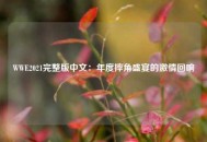 WWE2021完整版中文：年度摔角盛宴的激情回响