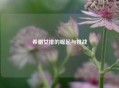 希腊女排的崛起与挑战