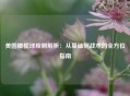 美国橄榄球规则解析：从基础到战术的全方位指南