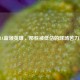 NBA蓝领英雄，那些被低估的球场苦力王