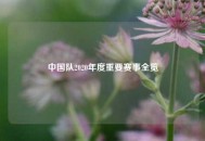 中国队2020年度重要赛事全览