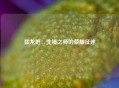 猛龙吧：北境之师的荣耀征途