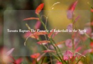 Toronto Raptors The Pinnacle of Basketball in the North