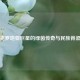 克罗地亚巨星的绿茵传奇与民族脊梁