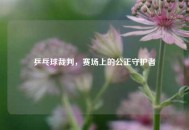 乒乓球裁判，赛场上的公正守护者