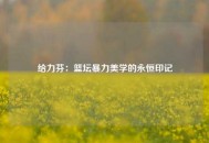 给力芬：篮坛暴力美学的永恒印记