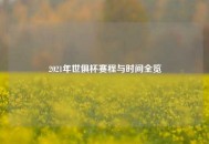 2021年世俱杯赛程与时间全览
