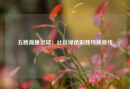 五楼直播足球：社区绿茵的独特风景线