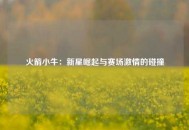 火箭小牛：新星崛起与赛场激情的碰撞
