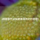 5种简单方法快速查询开户行信息！