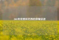 2002年世界杯巴西的荣耀征途