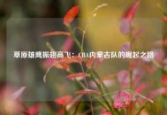 草原雄鹰振翅高飞：CBA内蒙古队的崛起之路