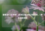 葡萄牙0-1比利时：欧洲红魔力克卫冕冠军，C罗告别欧洲杯