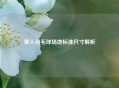 单人羽毛球场地标准尺寸解析