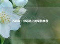 石鸿俊：绿茵场上的坚韧舞者