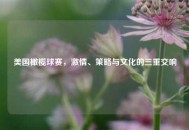 美国橄榄球赛，激情、策略与文化的三重交响