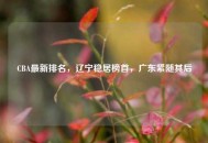 CBA最新排名，辽宁稳居榜首，广东紧随其后