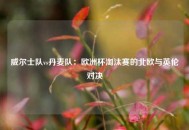 威尔士队vs丹麦队：欧洲杯淘汰赛的北欧与英伦对决