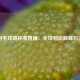 羽毛球锦标赛直播：全球羽坛巅峰对决