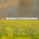 十二强赛赛程与出线机制深度解析