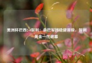  美洲杯巴西2-0智利：桑巴军团稳健晋级，智利黄金一代谢幕