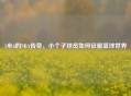 1米6的NBA传奇，小个子球员如何征服篮球世界