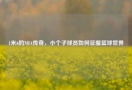 1米6的NBA传奇，小个子球员如何征服篮球世界